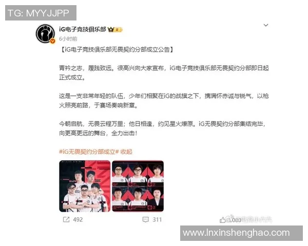 深入探讨王者荣耀中的IG战队团队协作与战略配合的成功之道